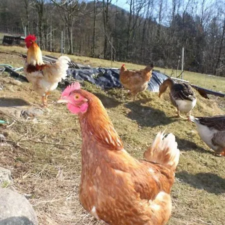 Σπίτι διακοπών Roulotte Cosy Avec Kitchenette, Ruisseau Apaisant Et Espace Bien-etre, Nuit Insolite A - Fr-1-589-444 Ferdrupt