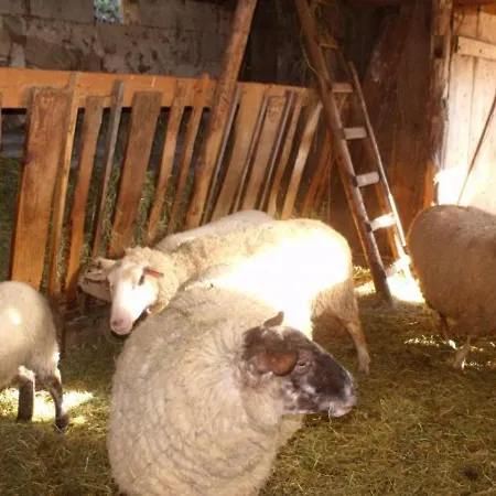 Vakantiehuis Roulotte Cosy Avec Kitchenette, Ruisseau Apaisant Et Espace Bien-etre, Nuit Insolite A - Fr-1-589-444